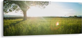 Tablou cu lunca în vară (120x50 cm)