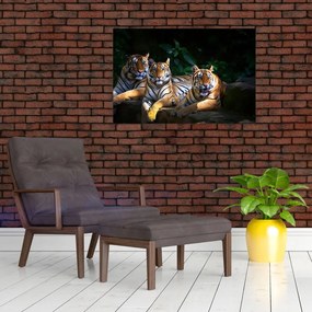 Tablou - Tigrii frați (90x60 cm)