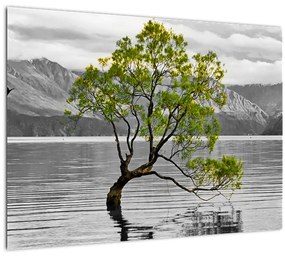 Tablou copacului în mijlocul lacului (70x50 cm), în 40 de alte dimensiuni noi