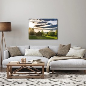 Tablou cu cabana pe luncă (70x50 cm)
