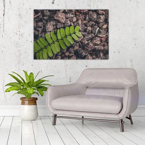 Tablou cu planta verde (90x60 cm)