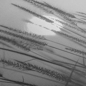 Tablou - Pajiște la apus (120x50 cm)