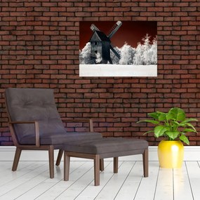 Tablou cu moară (70x50 cm)