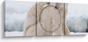 Tablou - Urs polar (cu ceas) (90x30 cm)