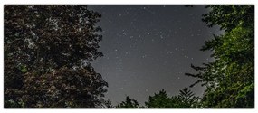 Tablou cu cerul nocturn (120x50 cm)