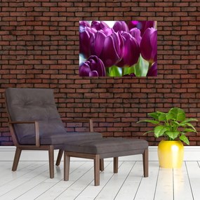Tablou pe sticlă cu lalele (70x50 cm)