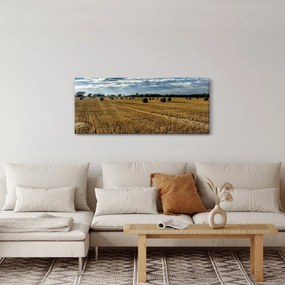 Tablou cu câmp recoltat (120x50 cm)