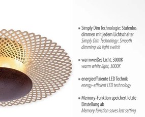 Plafonieră LED dimabilă NEVIS LED/18W/230V Paul Neuhaus 6551-48