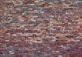 Fototapet - Perete (152,5x104 cm)