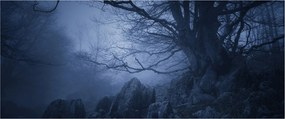 Tabloul pădurii întunecate (120x50 cm)