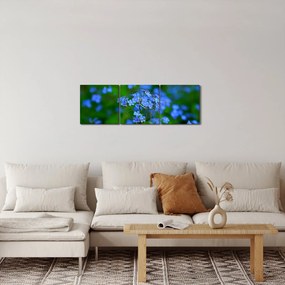Tablou cu flori albastre (cu ceas) (90x30 cm)