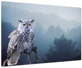 Tablou - Bufniță de zăpadă (90x60 cm)