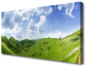 Tablou pe panza canvas Mountain Meadow Natura verde