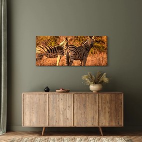 Tablou cu zebre (120x50 cm)