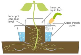 Pat ridicat de plante – Garden Pleasure