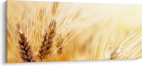Tablou- detaliu cu (120x50 cm)