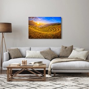 Tablou - Terasele de orez din Vietnam (90x60 cm)