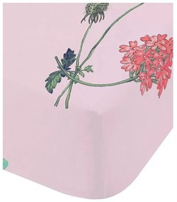 Cearceaf pentru copii pentru pat de o persoană cu elastic 90x190 cm Butterfly Garden – RHS