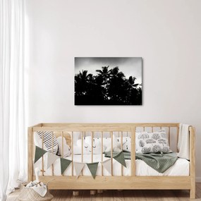 Tablou alb negru - palmieri (70x50 cm)