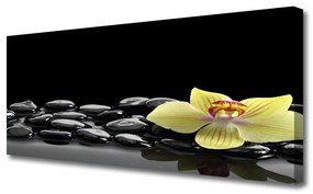 Tablou pe panza canvas Pietre de flori Bucătărie Galben Negru