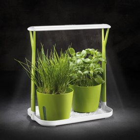 Cultivator plante aromatice Tescoma SENSE, cu LED