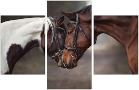 Tablou - Cai îndrăgostiți (90x60 cm)