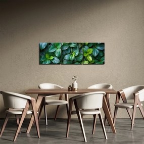 Tablou - Plante verzi (cu ceas) (90x30 cm)