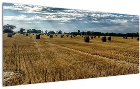 Tablou cu câmp recoltat (120x50 cm)