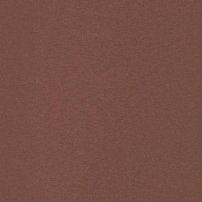 Copertina laterala retractabila de terasa, maro, 117x500 cm Maro, 117 x 500 cm