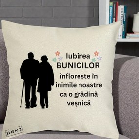 Cadou pentru Bunici - Perna Personalizata Bunicii Iubirea Infloreste Silueta Neagra Flori, 40x40 cm, Ecru, Husa Detasabila, Perna Inclusa, BEKZ®