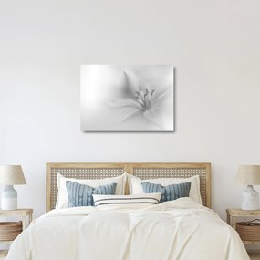 Tablou pe sticlă - Crin delicat (70x50 cm)