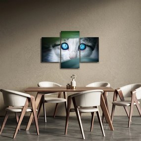 Tablou cu pisica (90x60 cm)