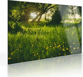 Tablou pe sticlă cu natura - lunca (70x50 cm)