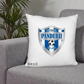 Perna Personalizata Pandurii Targu Jiu Fotbal, 40x40 cm, Alb Pufos, Husa Detasabila, Perna Inclusa, BEKZ®