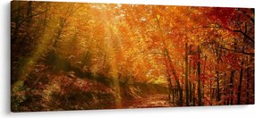Tablou cu pădurea în toamnă (120x50 cm)