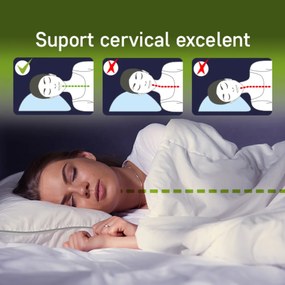 Perna Sleep by Green Future 10% puf gasca 90% pana de gasca, 70x70 cm