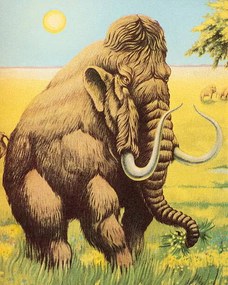 Ilustrație Woolly Mammoth, CSA Images