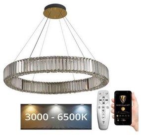 Lustră LED dimabilă pe cablu LED/50W/230V 3000-6500K crom/auriu + telecomandă