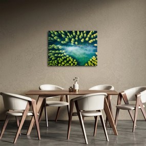 Tablou - O pădure învăluită în ceață (70x50 cm)