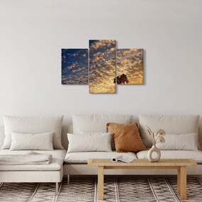 Tablou - Palmieri între nori (90x60 cm)