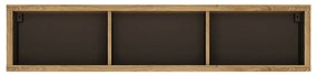 Raft Sygrin Typ 61 (Stejar shetland). 1034172