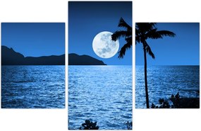 Tablou - Luna deasupra nivelului mării (90x60 cm)