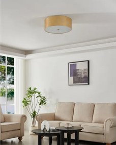 Eglo 97642 - Plafonieră VISERBELLA, 3 x E27, 60 W, 230 V