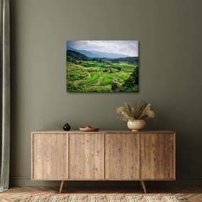 Tablou cu câmp de orez (70x50 cm)