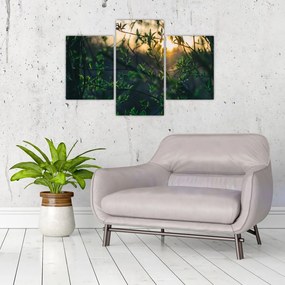 Tablou - Soarele strălucind printre crengile copacilor (90x60 cm)