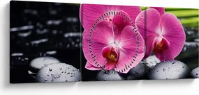 Tablou - Orhidee roz cu frunze de palmier (cu ceas) (90x30 cm)