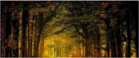 Tablou cu pădure (120x50 cm)