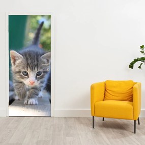 Fototapet pentru ușă - Pisoi (95x205cm)