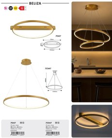 Lustra LED suspendata din metal auriu Beliza