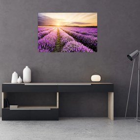 Tablou - Răsărit de soare în câmp de lavandă (90x60 cm)